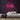 30th Neon Sign — Pink neon (room)