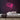 Soft Neon Sign — Pink neon (room)