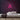 Hairdressing Neon Sign — Pink neon (room)