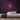 Floral Neon Sign — Pink neon (room)