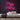 Happy Holidays Neon Sign — Pink neon (room)
