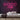 Good Night Neon Sign — Pink neon (room)