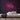 90s Neon Sign — Pink neon (room)