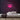 Oyster Neon Sign — Pink neon (room)