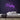 Husky Neon Sign — Purple neon (room)