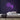 Pug Neon Sign — Purple neon (room)