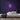 Daisy Neon Sign — Purple neon (room)