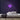Cow Neon Sign — Purple neon (room)