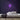Sunflower Neon Sign — Purple neon (room)