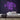 Positive Vibes Only Neon Sign — Purple neon (room)