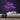 Santa Stop Here Neon Sign — Purple neon (room)