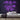 All Of Me Loves All Of You Neon Sign — Purple neon (room)