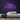 Positive Vibes Neon Sign — Purple neon (room)