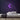 Night Neon Sign — Purple neon (room)