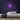 Owl Neon Sign — Purple neon (room)