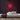 Vinyl Neon Sign — Red neon (room)