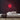 Disco Neon Sign — Red neon (room)