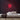 Pub Neon Sign — Red neon (room)