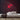 Santa Neon Sign — Red neon (room)