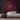 Fortune Teller Neon Sign — Red neon (room)