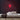 Floral Neon Sign — Red neon (room)