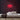 Sushi Neon Sign — Red neon (room)