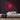 Darts Neon Sign — Red neon (room)