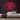 Positive Vibes Only Neon Sign — Red neon (room)