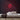 Fruit Neon Sign — Red neon (room)