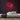 Soft Neon Sign — Red neon (room)