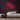 Pug Neon Sign — Red neon (room)