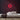 Softball Neon Sign — Red neon (room)