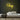Sleep Neon Sign — Yellow neon (room)