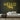 Hello Thirty Neon Sign — Yellow neon (room)