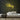 Stray Neon Sign — Yellow neon (room)