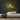 Fun Neon Sign — Yellow neon (room)