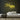 Happy Neon Sign — Yellow neon (room)