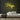 Hope Neon Sign — Yellow neon (room)
