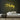 Husky Neon Sign — Yellow neon (room)