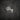 Pug Neon Sign — White neon (studio)