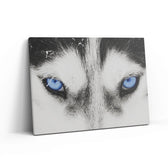 Wolf Eyes Wall Art – Canvas Freaks