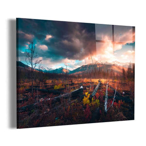 Regrowth Wall Art