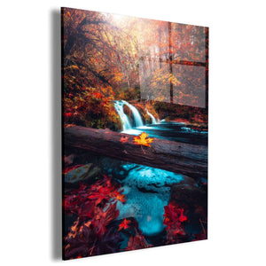 Surrounded by Color Wall Art