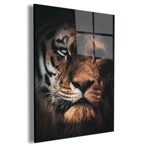 Tiger Lion Wall Art