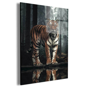 Tiger Reflection Wall Art