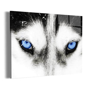 Wolf Eyes Wall Art