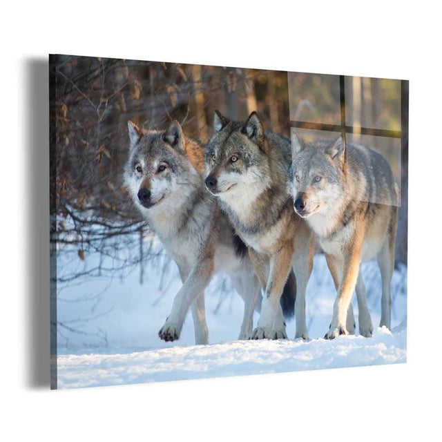 Wolf Pack Wall Art – Canvas Freaks