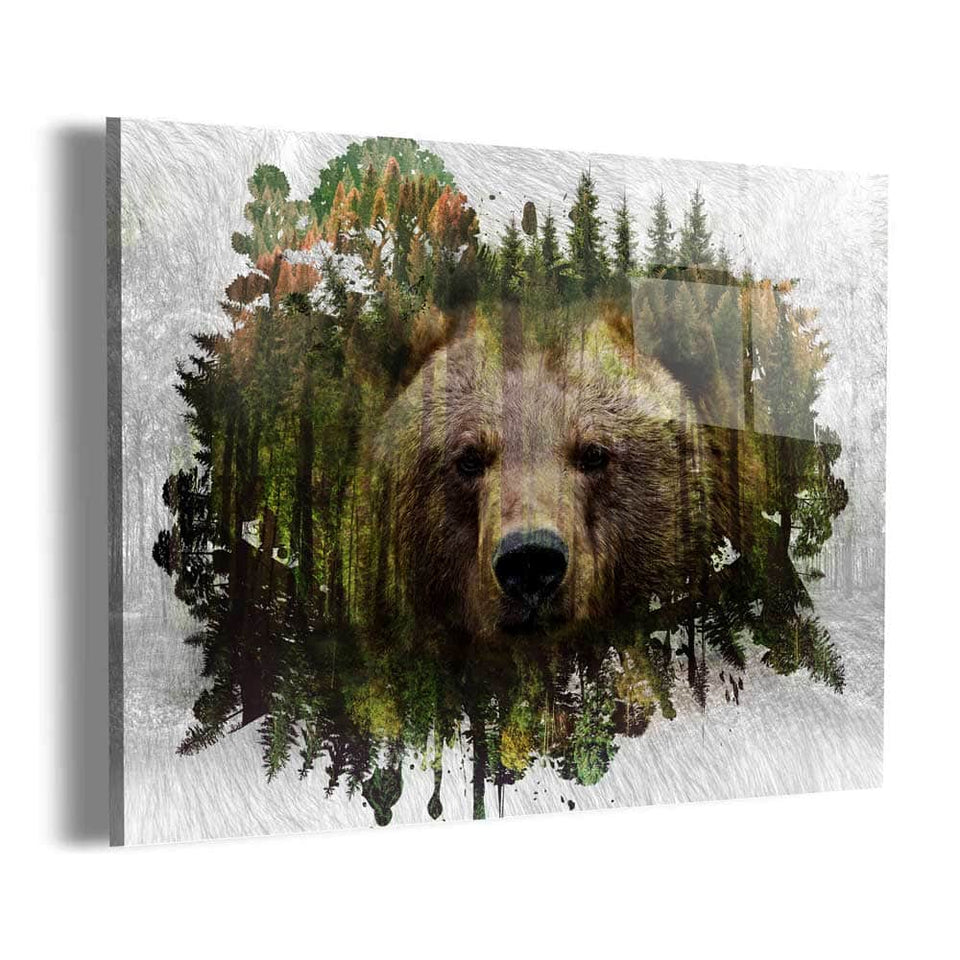 Bear Habitat Wall Art Canvas Freaks