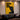 Discipline Builds Freedom Wall Art — In room