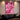 Doflamingo Wall Art — In room